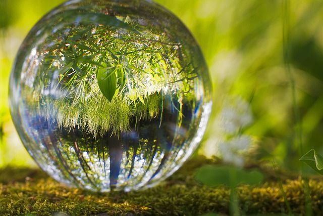 Des valeurs personnelles fortes alignées avec la protection de l'environnement et l'hypnose Sajece